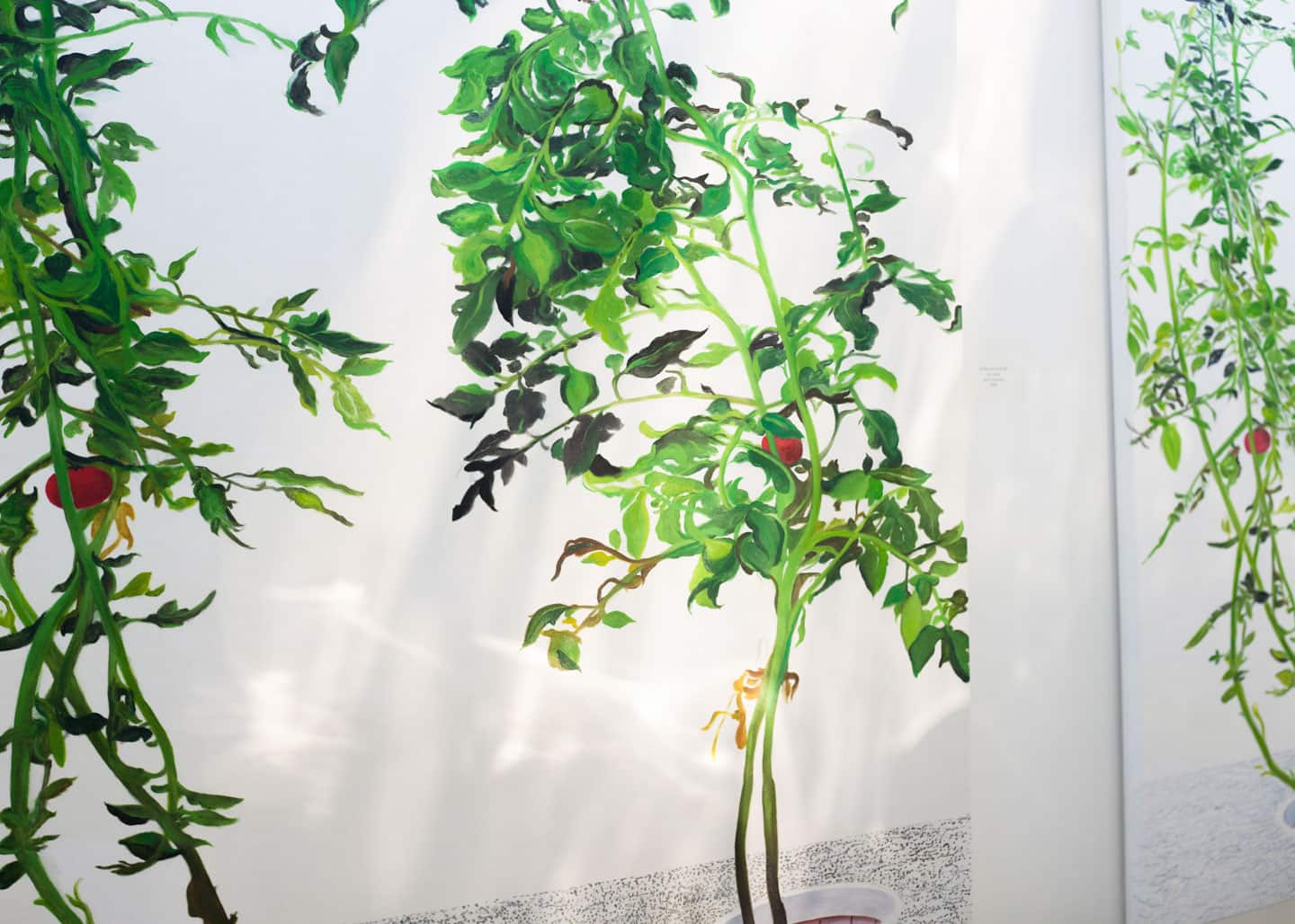 Alex Fischer,  1, 7 and 6000 evening light, O'Born Contemporary 